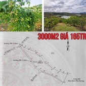 Cắt lỗ sâu lô đất trồng cây lâu năm gần 3000m2 view suối thuộc Đắk Hà, Kon Tum